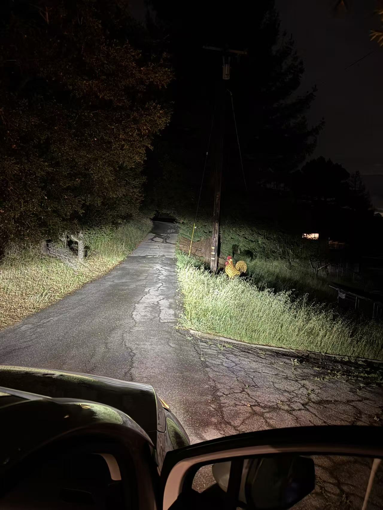 一个小插曲，由于导航问题走过了头，遇到一只诡异的公鸡雕塑，索性最终找到了正确的门牌号