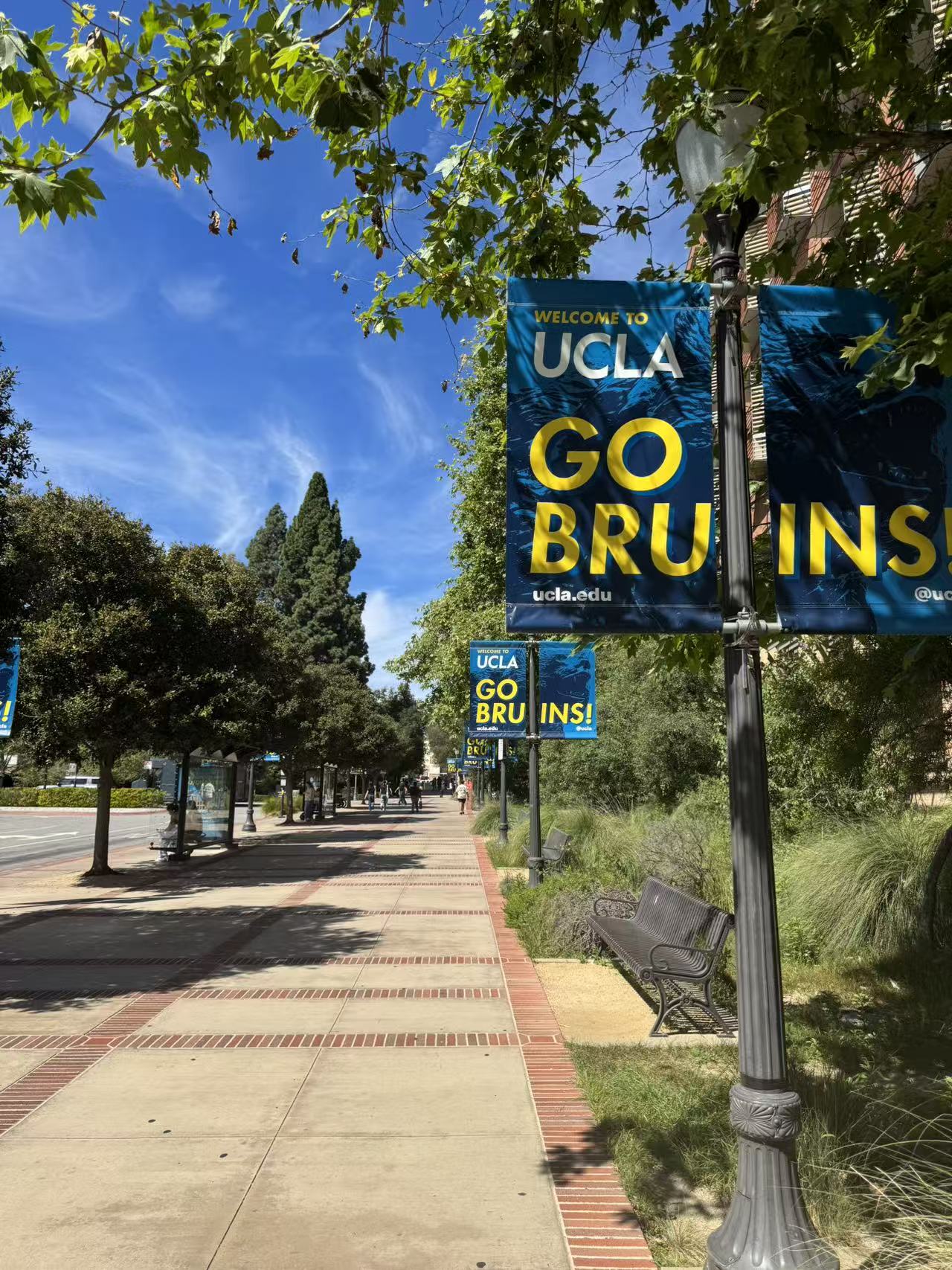 UCLA